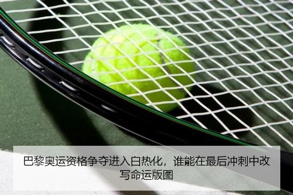 巴黎奥运资格争夺进入白热化，谁能在最后冲刺中改写命运版图